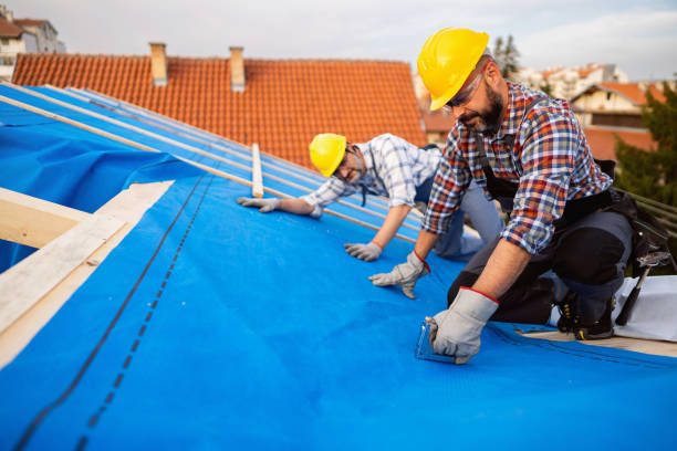 Best Roof Moss and Algae Removal  in Parkwood, CA